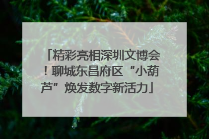 精彩亮相深圳文博会！聊城东昌府区“小葫芦”焕发数字新活力